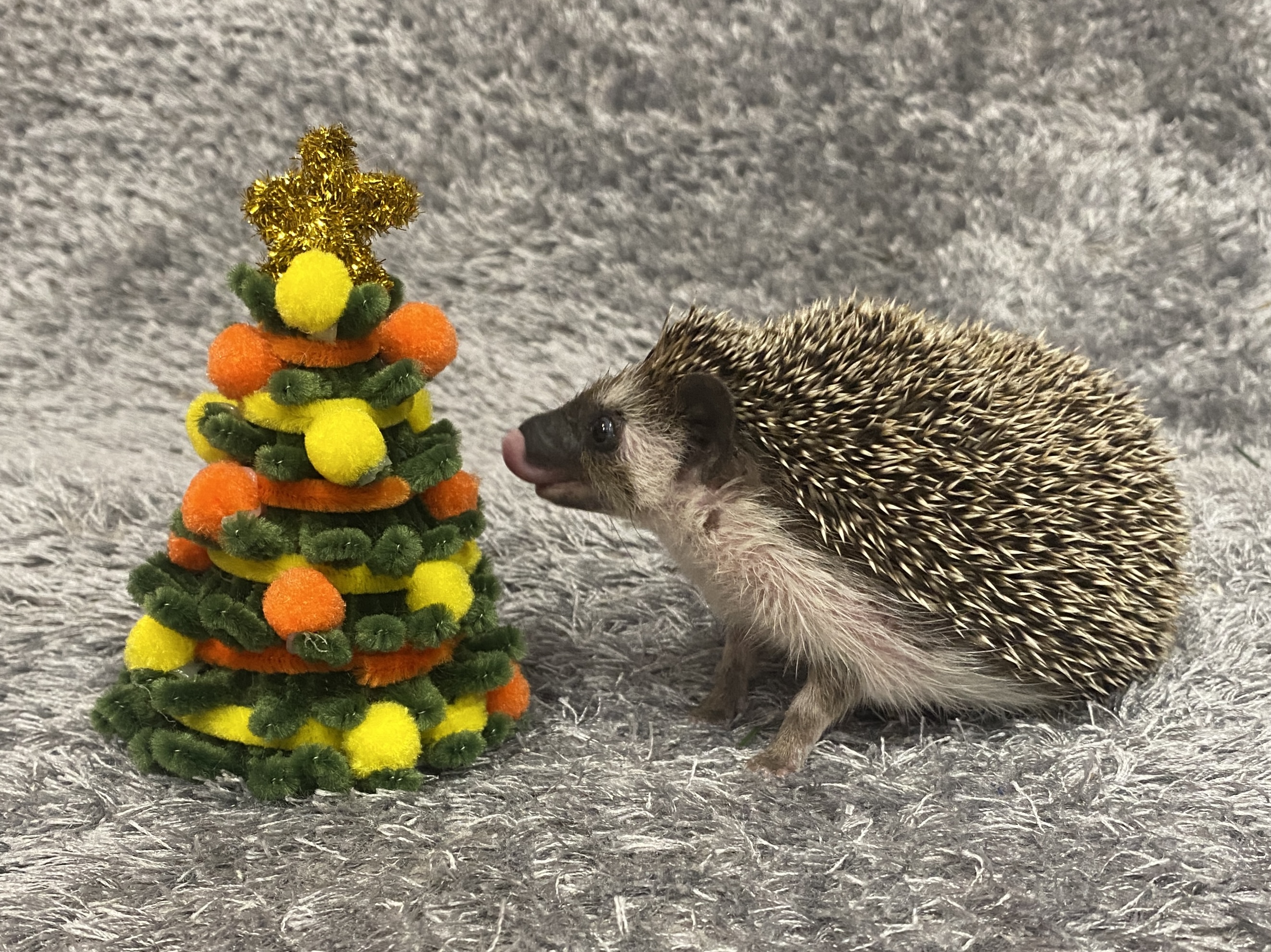 LOV Archanděl Azriel